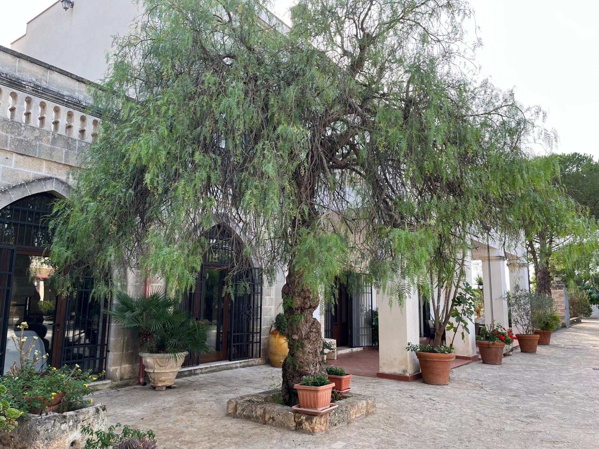 Masseria La Camardia Sava Buitenkant foto
