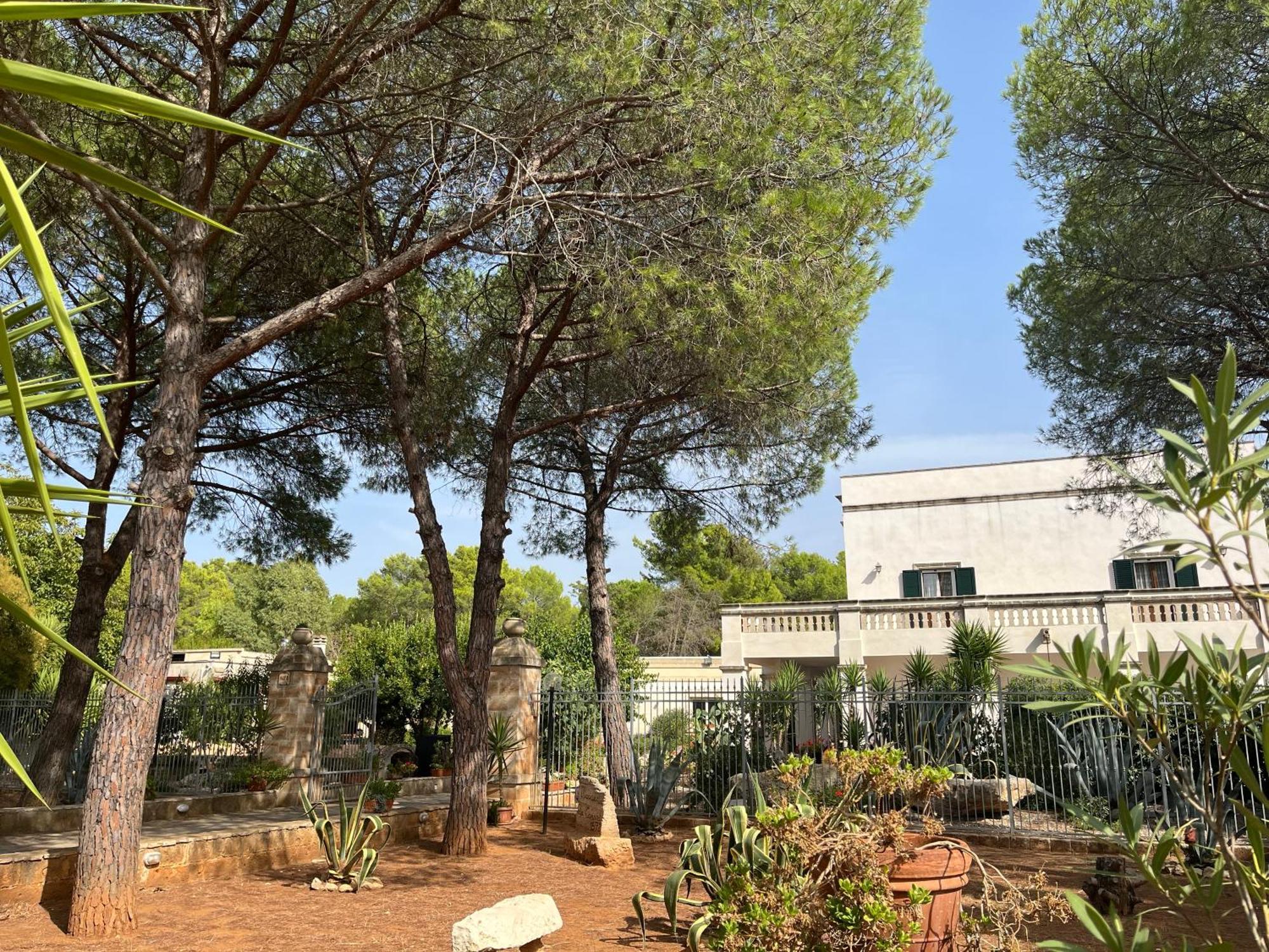 Masseria La Camardia Sava Buitenkant foto