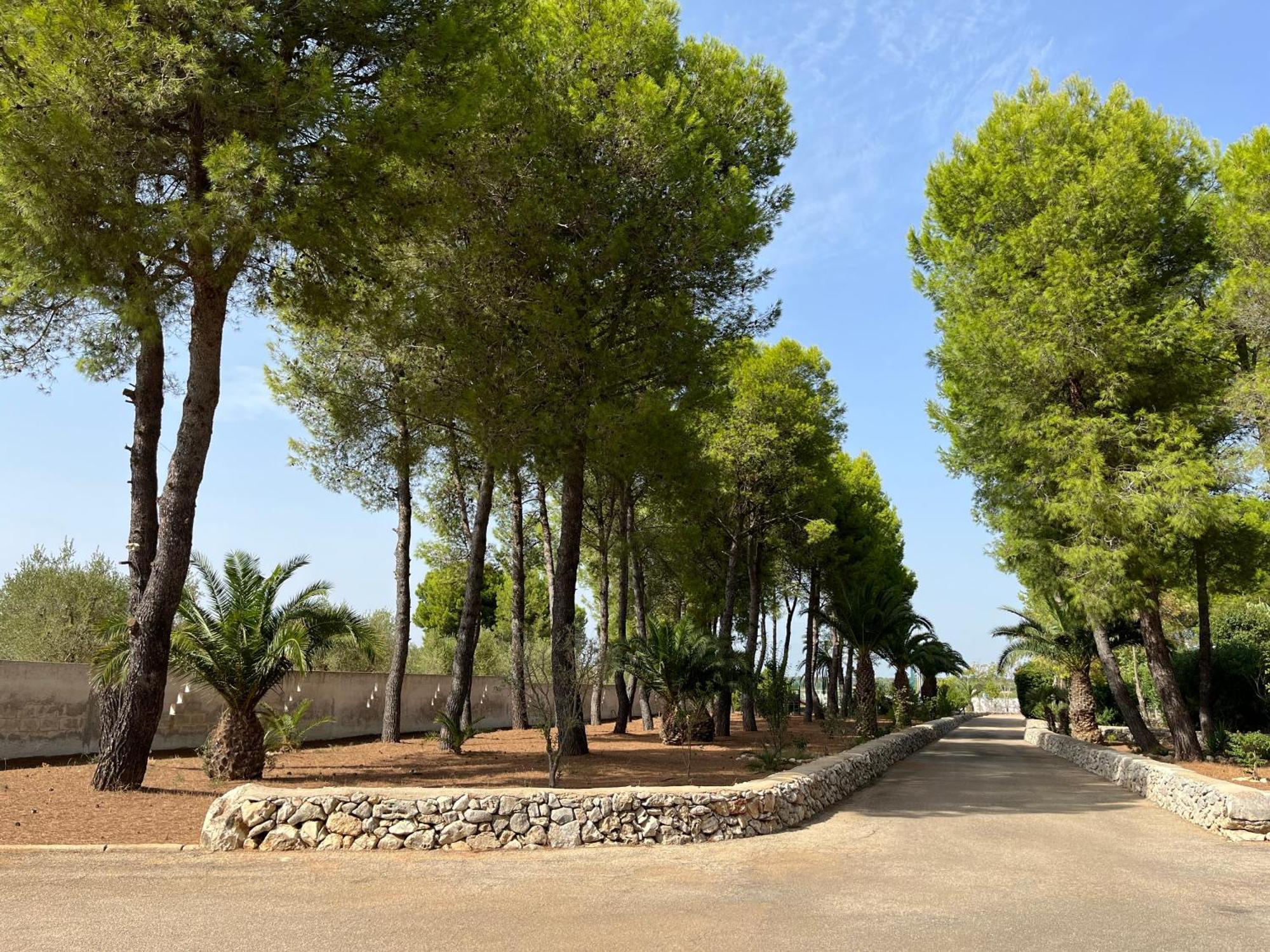 Masseria La Camardia Sava Buitenkant foto