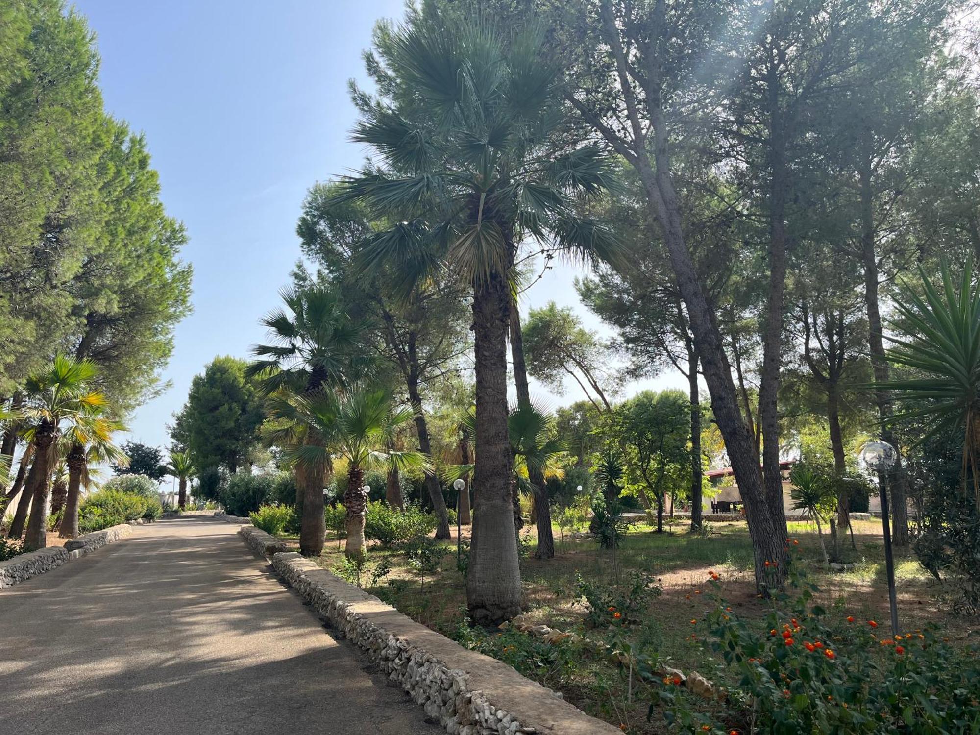 Masseria La Camardia Sava Buitenkant foto
