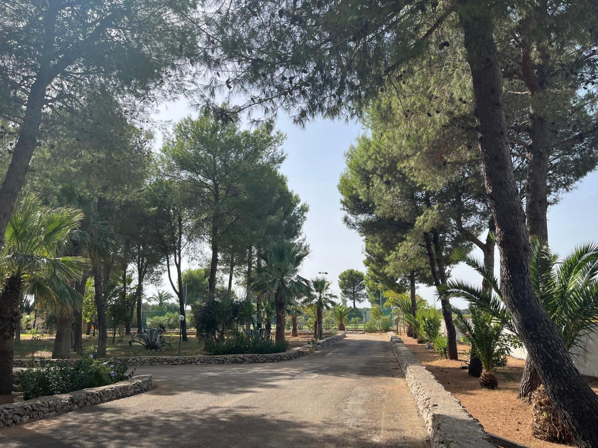 Masseria La Camardia Sava Buitenkant foto