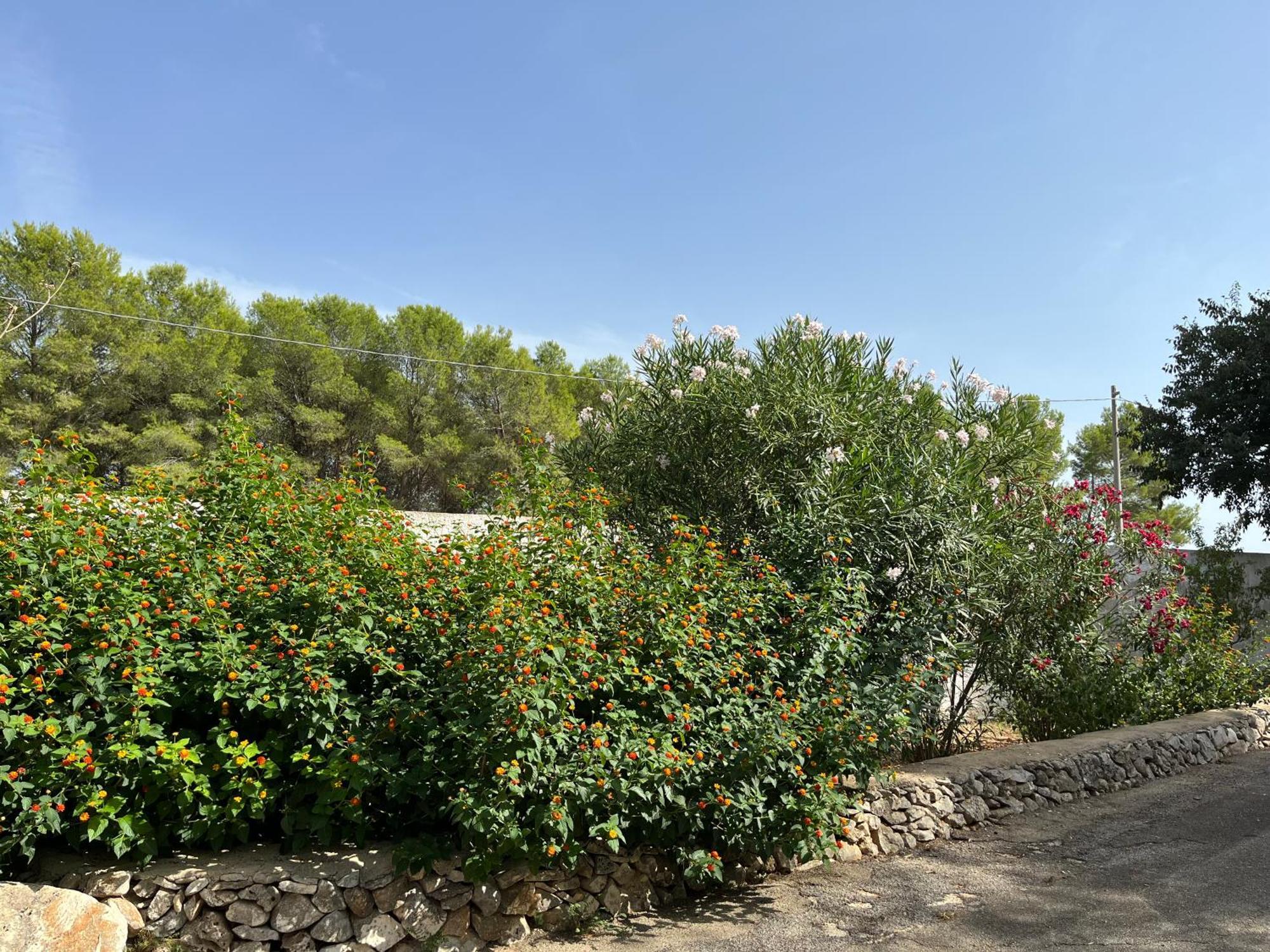 Masseria La Camardia Sava Buitenkant foto