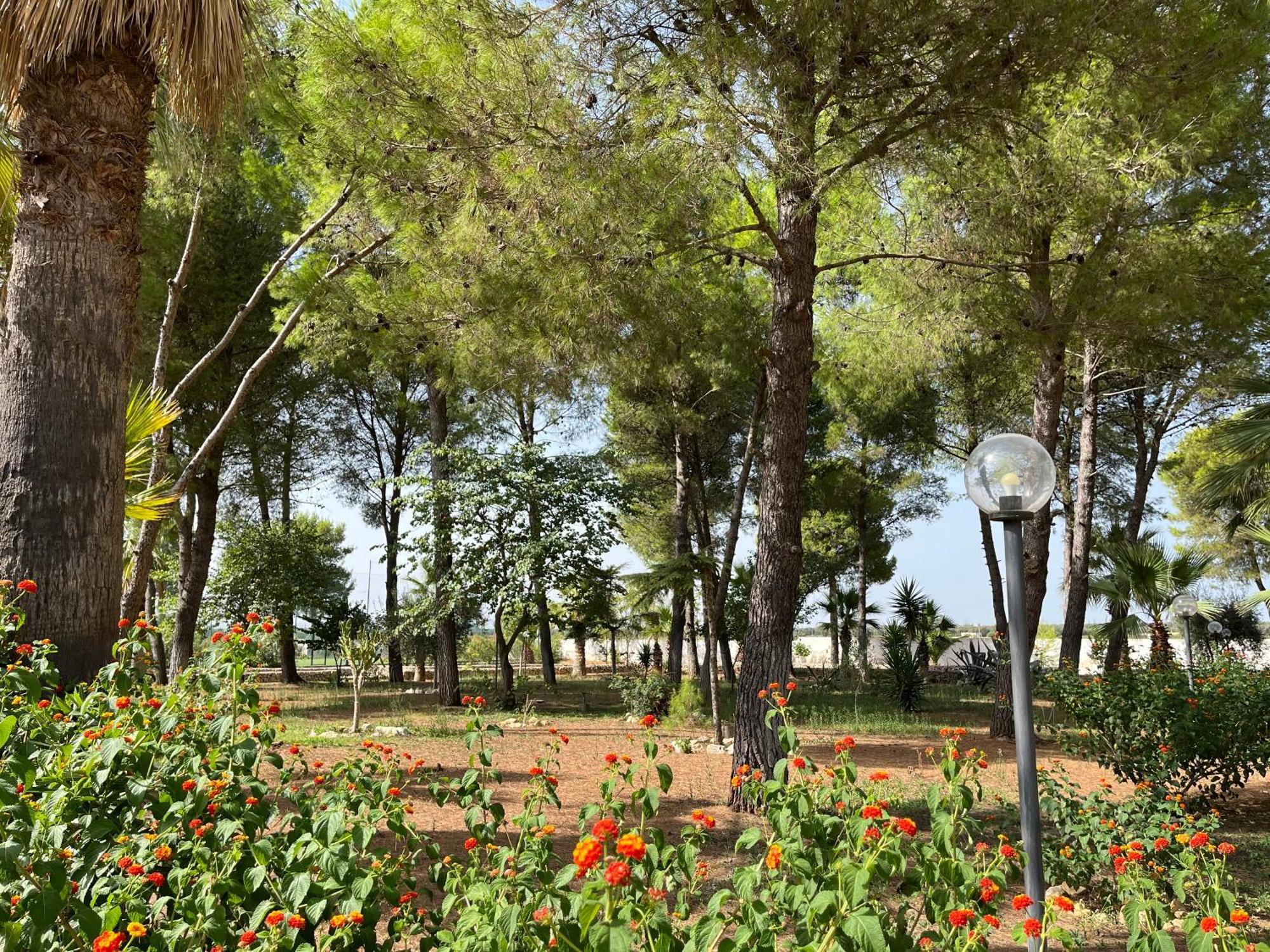 Masseria La Camardia Sava Buitenkant foto