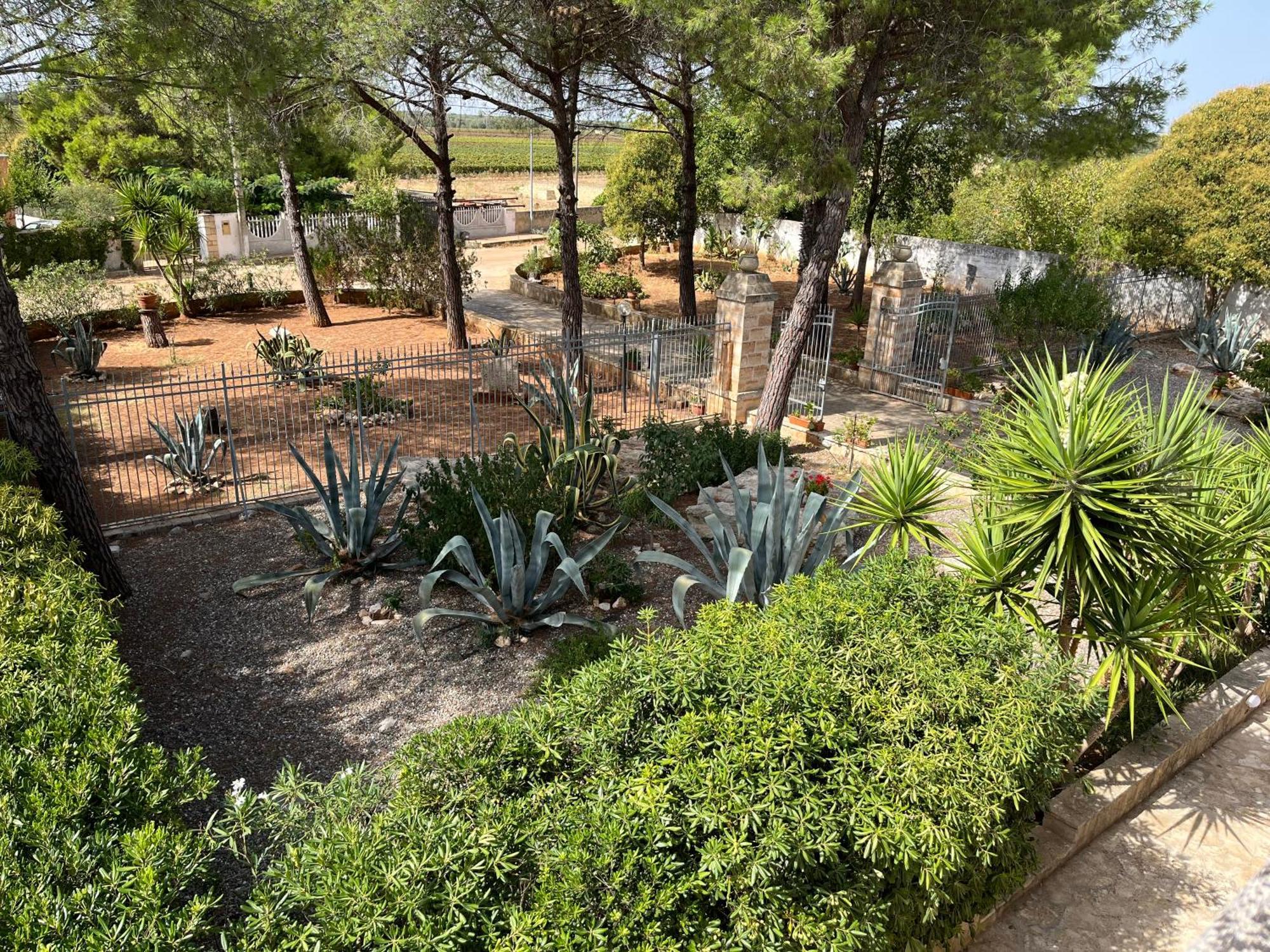 Masseria La Camardia Sava Buitenkant foto